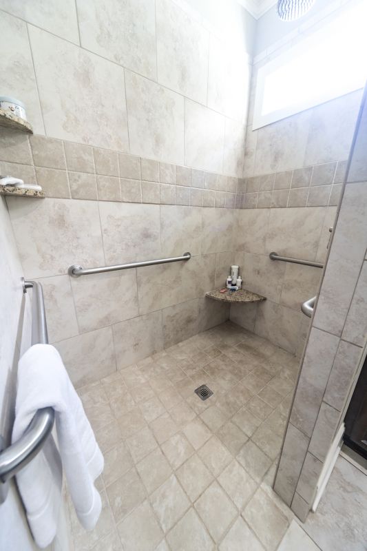 Walk-In Shower Renovation